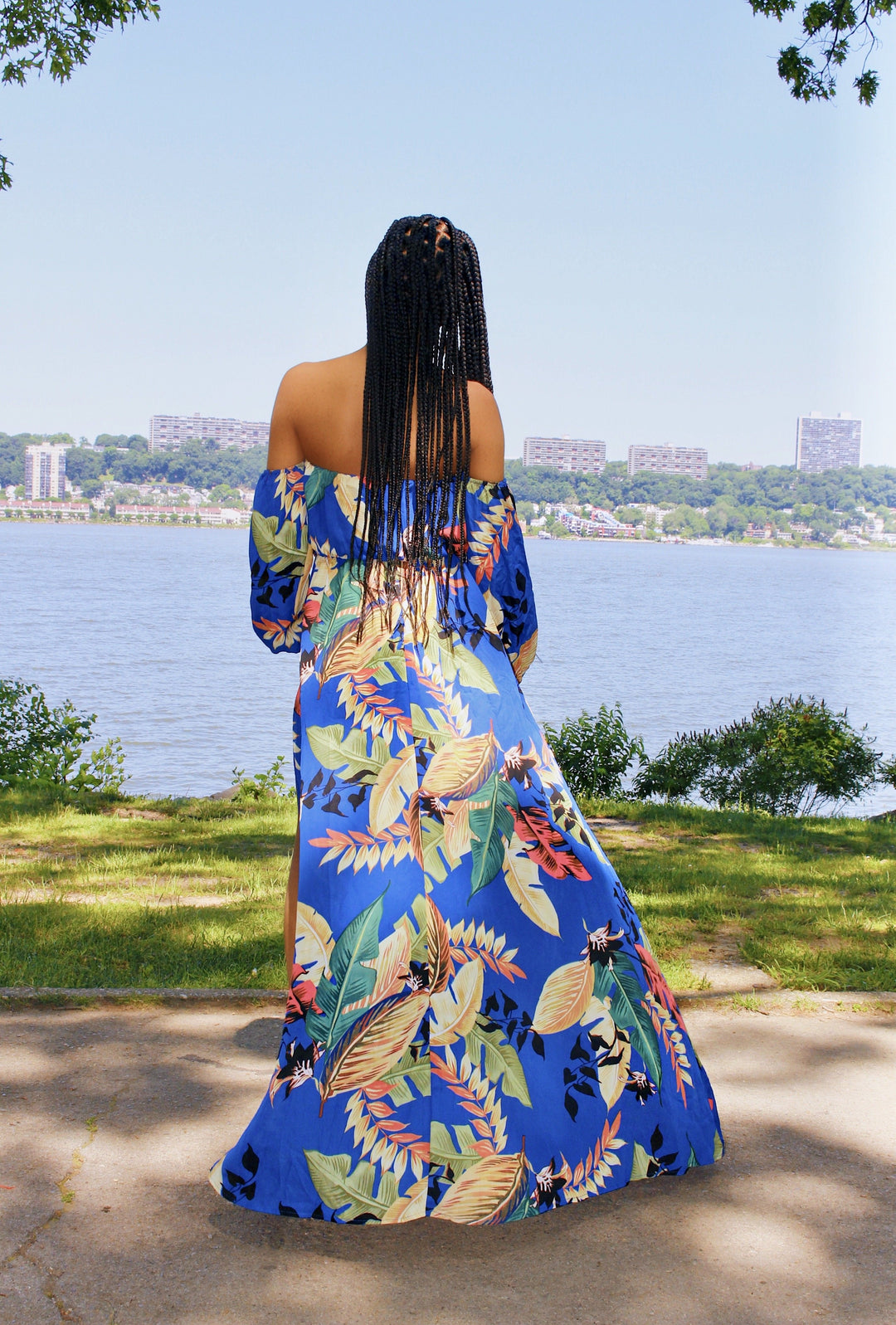 fitted lace wedding dress Bird Of Paradise -Blue Dress